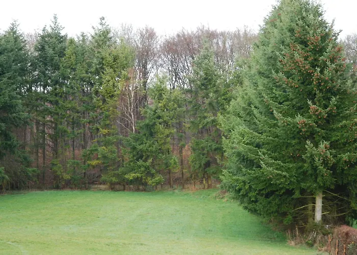 Apartment Modern In Bolsdorf With Sauna *